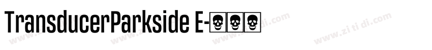 TransducerParkside E字体转换